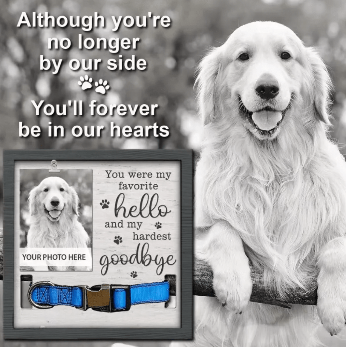 Creative Wooden Pet Commemorative Plaque - Dog Collar & Photo Frame - Fallon Gifts