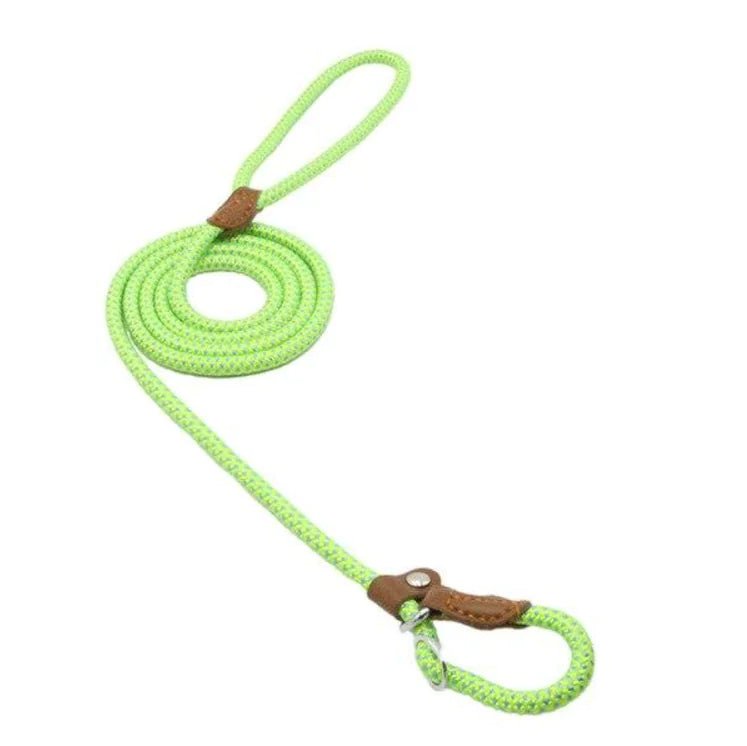 Nylon Pup Set - Fallon Gifts