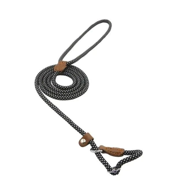 Nylon Pup Set - Fallon Gifts