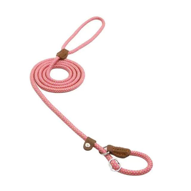 Nylon Pup Set - Fallon Gifts