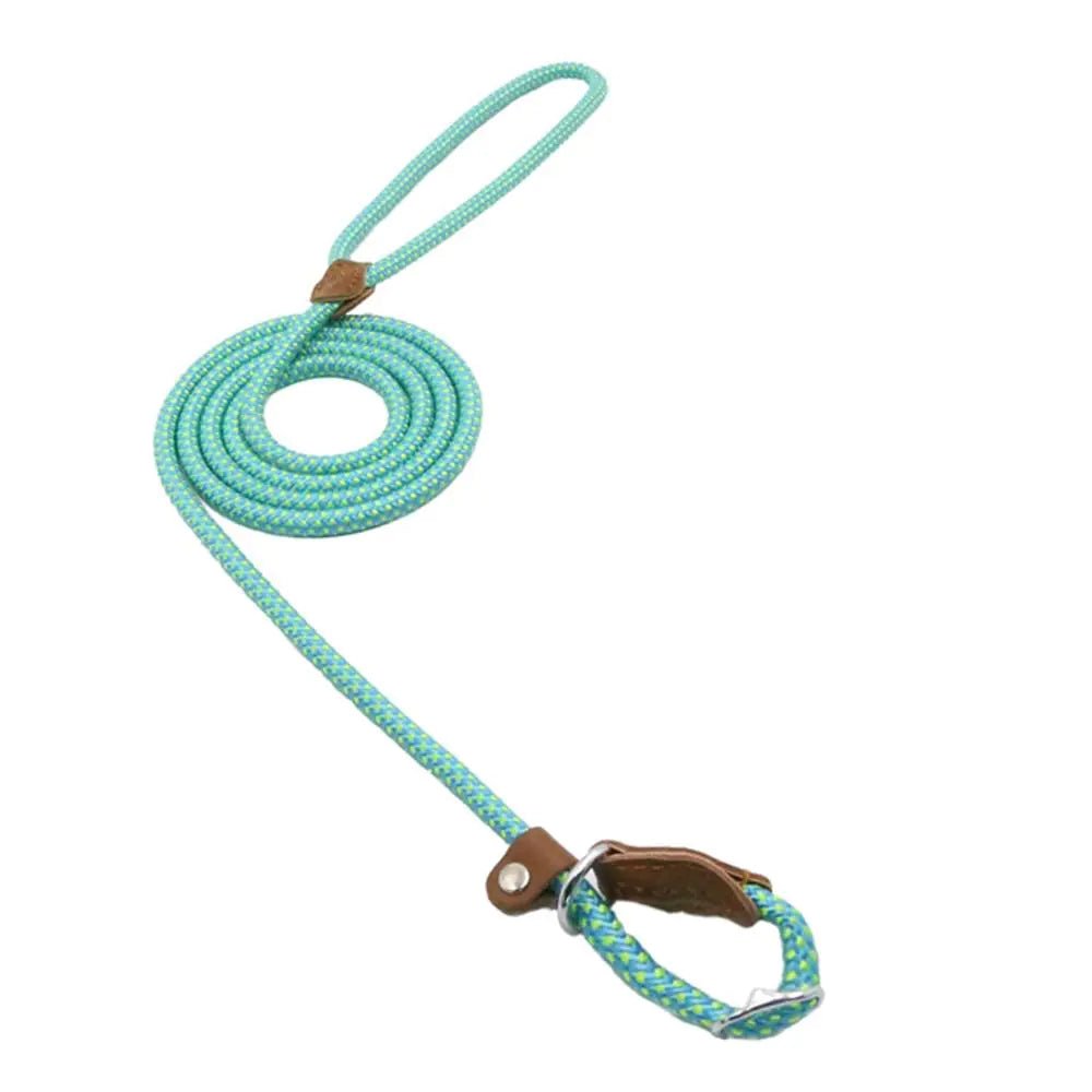 Nylon Pup Set - Fallon Gifts