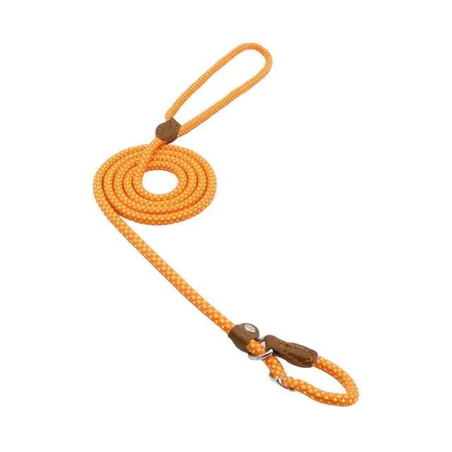 Nylon Pup Set - Fallon Gifts