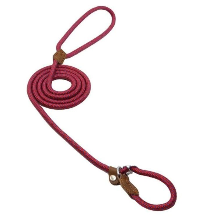 Nylon Pup Set - Fallon Gifts