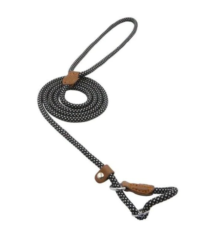 Nylon Pup Set - Fallon Gifts