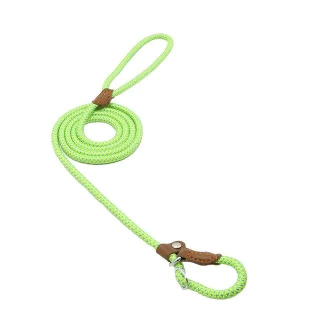 Nylon Pup Set - Fallon Gifts