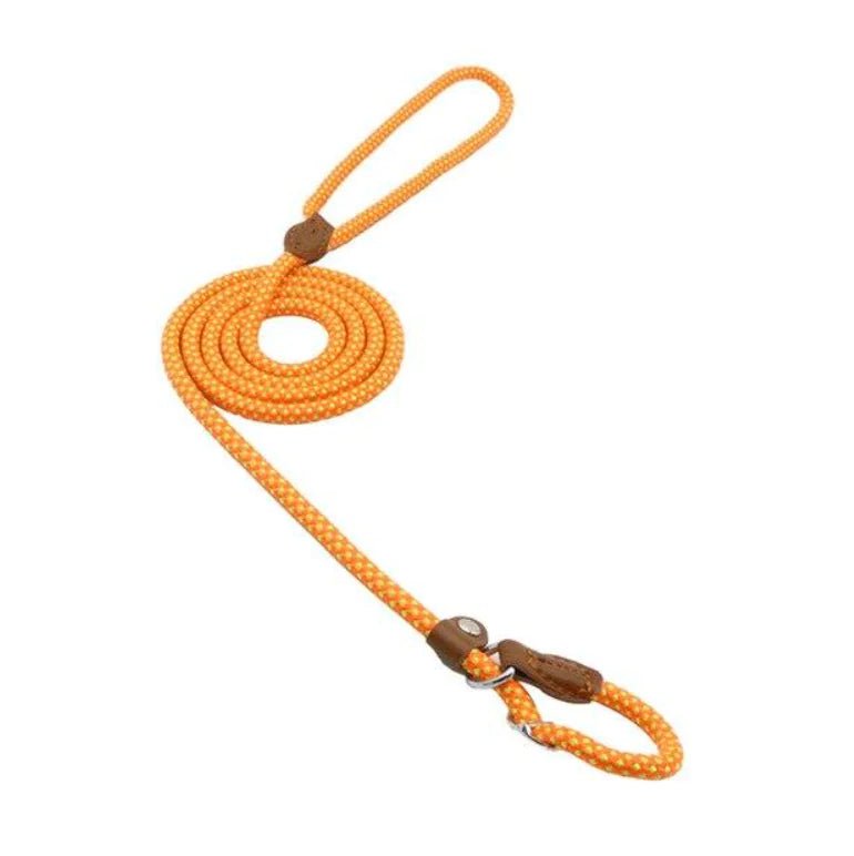 Nylon Pup Set - Fallon Gifts
