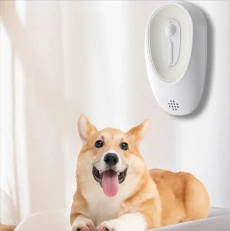 Pet Odor Eliminator for Litter Boxes - Fallon Gifts
