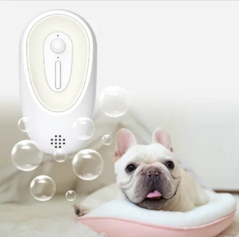 Pet Odor Eliminator for Litter Boxes - Fallon Gifts