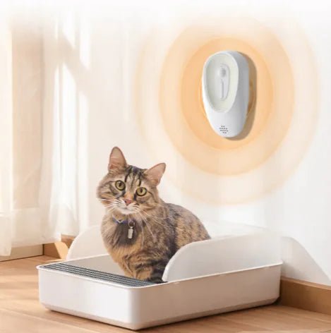 Pet Odor Eliminator for Litter Boxes - Fallon Gifts